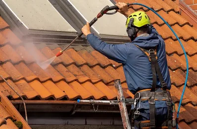 Démoussage et hydrofuge de toiture à Gastins